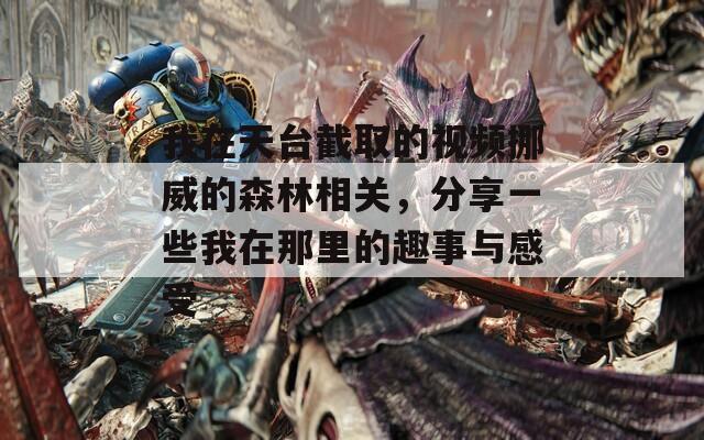 我在天台截取的视频挪威的森林相关，分享一些我在那里的趣事与感受