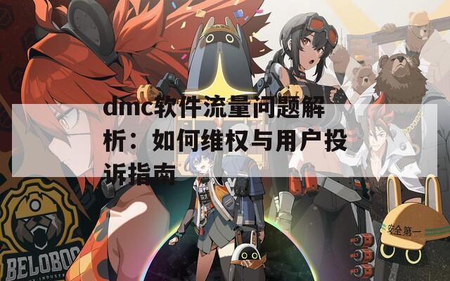 dmc软件流量问题解析：如何维权与用户投诉指南