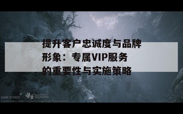 提升客户忠诚度与品牌形象：专属VIP服务的重要性与实施策略