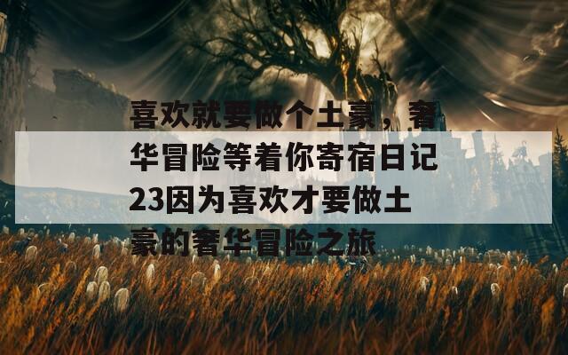 喜欢就要做个土豪，奢华冒险等着你寄宿日记23因为喜欢才要做土豪的奢华冒险之旅