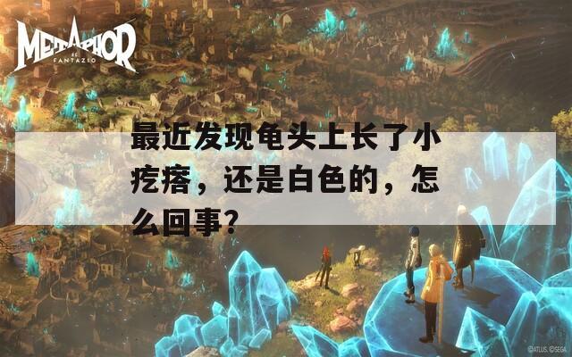 最近发现龟头上长了小疙瘩，还是白色的，怎么回事？