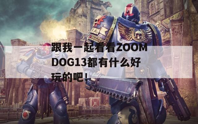 跟我一起看看ZOOMDOG13都有什么好玩的吧！