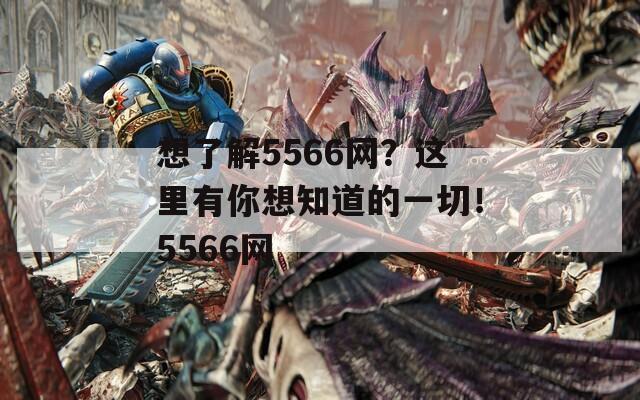 想了解5566网？这里有你想知道的一切！5566网