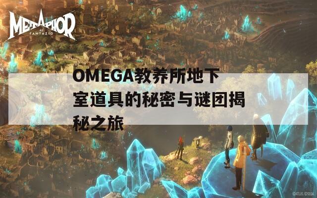 OMEGA教养所地下室道具的秘密与谜团揭秘之旅