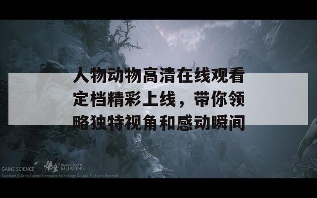 人物动物高清在线观看定档精彩上线，带你领略独特视角和感动瞬间