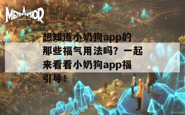 想知道小奶狗app的那些福气用法吗？一起来看看小奶狗app福引导！