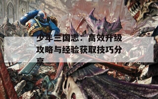 少年三国志：高效升级攻略与经验获取技巧分享