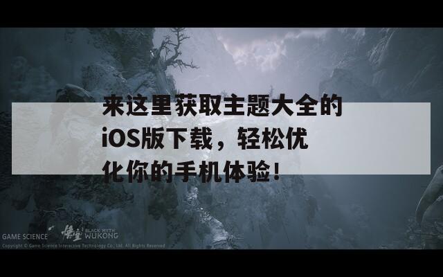 来这里获取主题大全的iOS版下载，轻松优化你的手机体验！