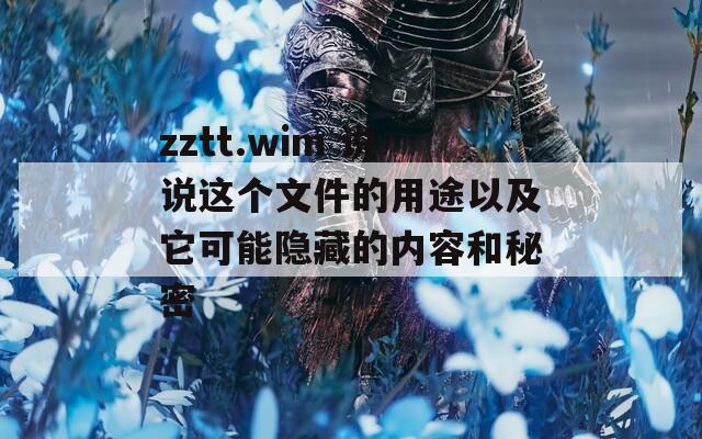 zztt.wim 说说这个文件的用途以及它可能隐藏的内容和秘密