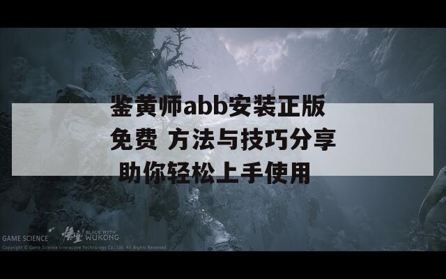 鉴黄师abb安装正版免费 方法与技巧分享 助你轻松上手使用