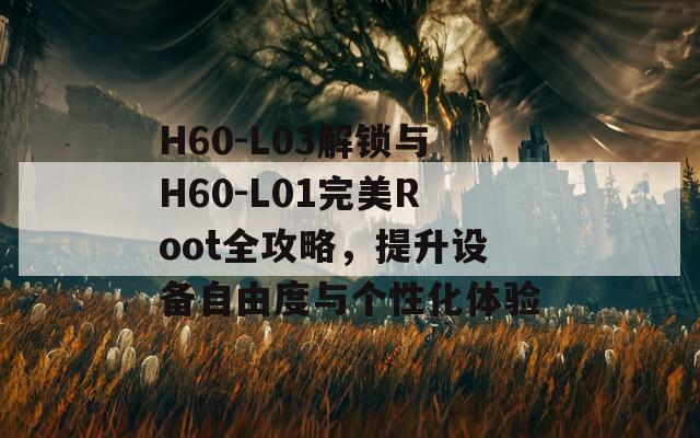 H60-L03解锁与H60-L01完美Root全攻略，提升设备自由度与个性化体验