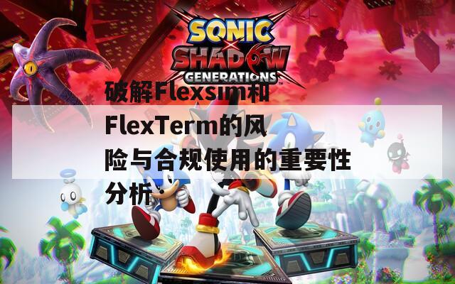 破解Flexsim和FlexTerm的风险与合规使用的重要性分析