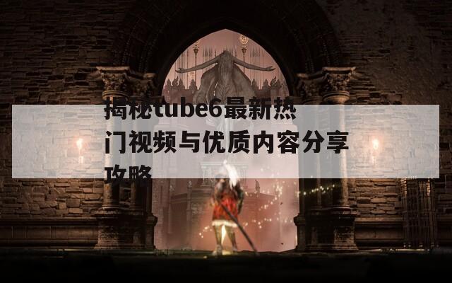 揭秘tube6最新热门视频与优质内容分享攻略