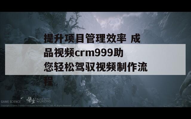 提升项目管理效率 成品视频crm999助您轻松驾驭视频制作流程