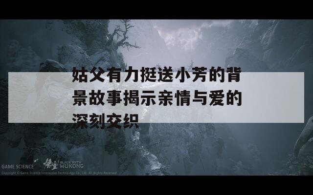 姑父有力挺送小芳的背景故事揭示亲情与爱的深刻交织