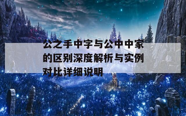 公之手中字与公中中家的区别深度解析与实例对比详细说明