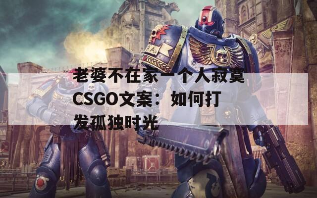 老婆不在家一个人寂寞CSGO文案：如何打发孤独时光