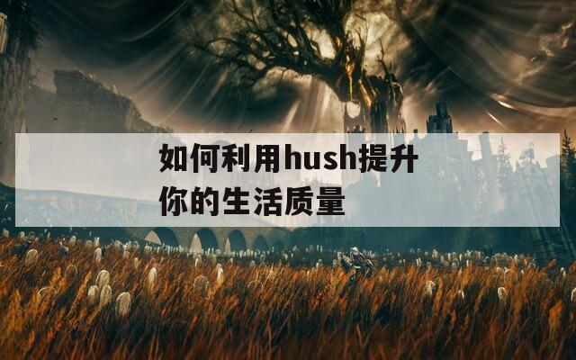 如何利用hush提升你的生活质量