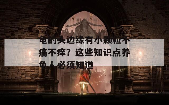 龟的头边缘有小颗粒不痛不痒？这些知识点养龟人必须知道