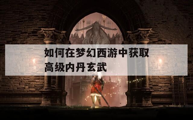 如何在梦幻西游中获取高级内丹玄武