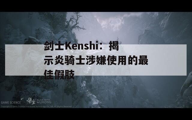 剑士Kenshi：揭示炎骑士涉嫌使用的最佳假肢