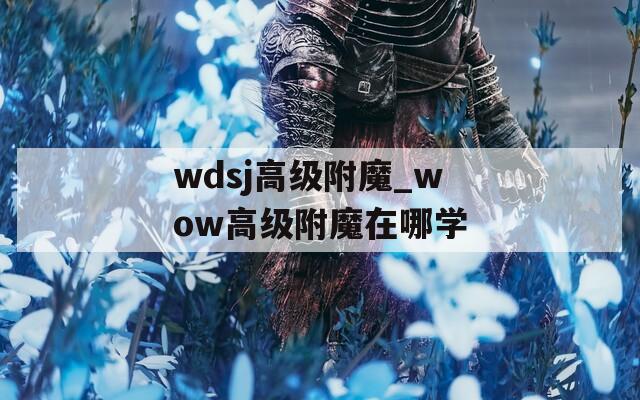 wdsj高级附魔_wow高级附魔在哪学