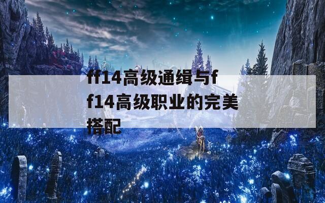 ff14高级通缉与ff14高级职业的完美搭配