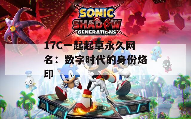 17C一起起草永久网名：数字时代的身份烙印