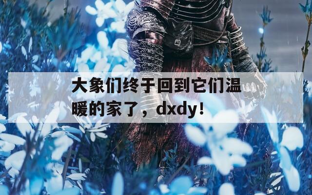 大象们终于回到它们温暖的家了，dxdy！
