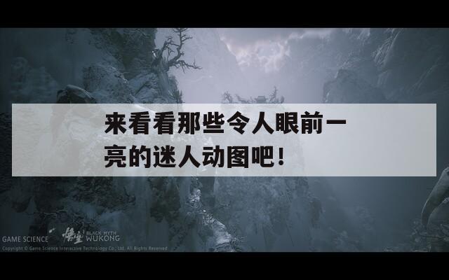 来看看那些令人眼前一亮的迷人动图吧！